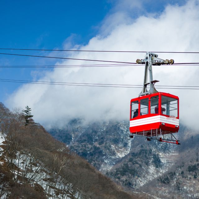 From Tokyo: Nikko World Heritage Private Tour by Car and Van - Reviews