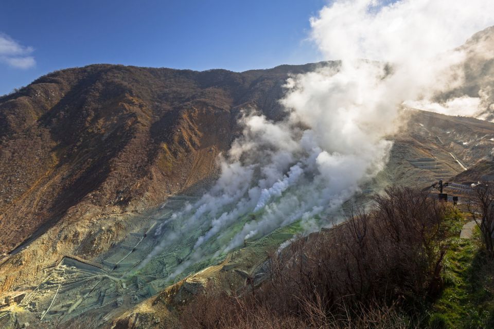 From Tokyo: Private Day Trip to Hakone With Lake Ashi Cruise - Oversize Luggage Considerations