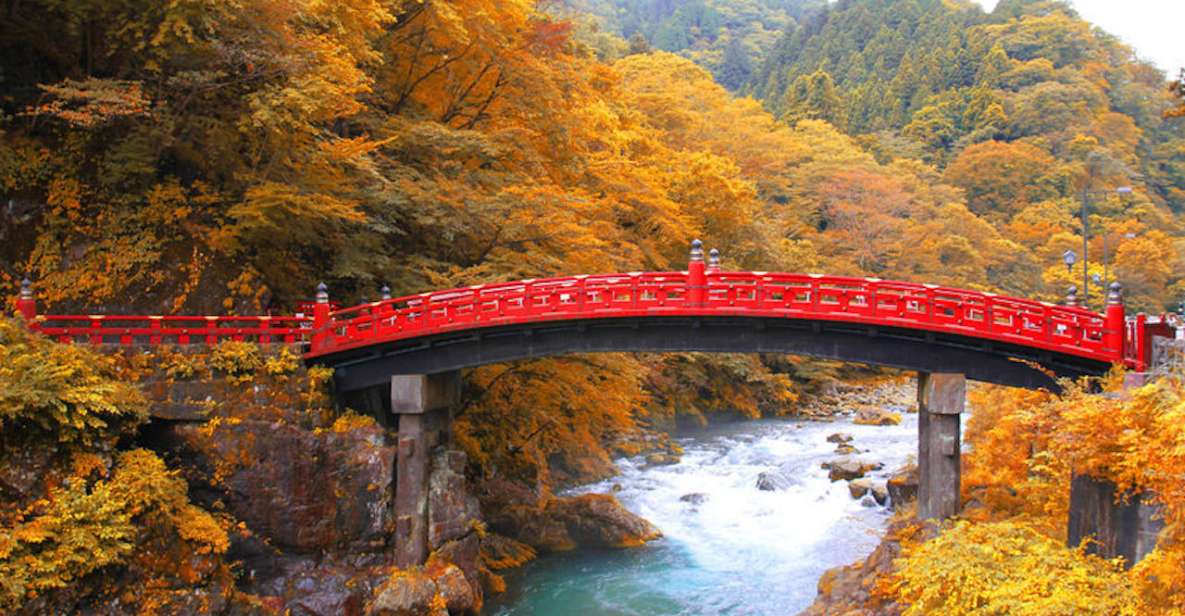 From Tokyo: Private Day Trip to Nikko and Lake Chuzenji - Traveler Testimonials