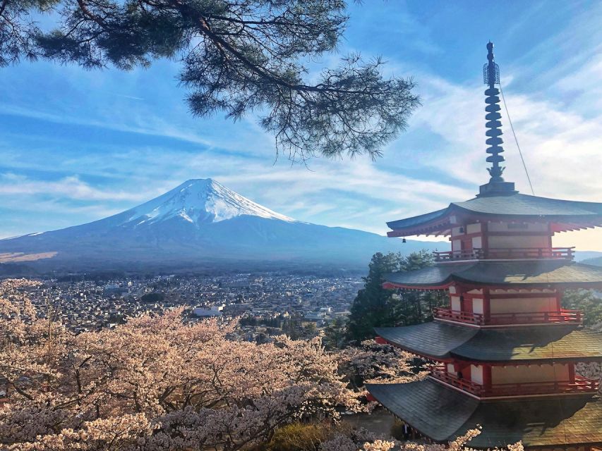 From Tokyo: Private Trip to Mount Fuji and Lake Kawaguchi - Tour Highlights and Activities