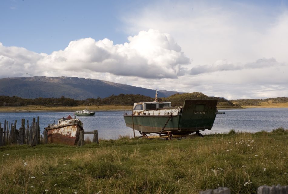 From Ushuaia: Penguin Watching Tour by Catamaran - Reservation Benefits