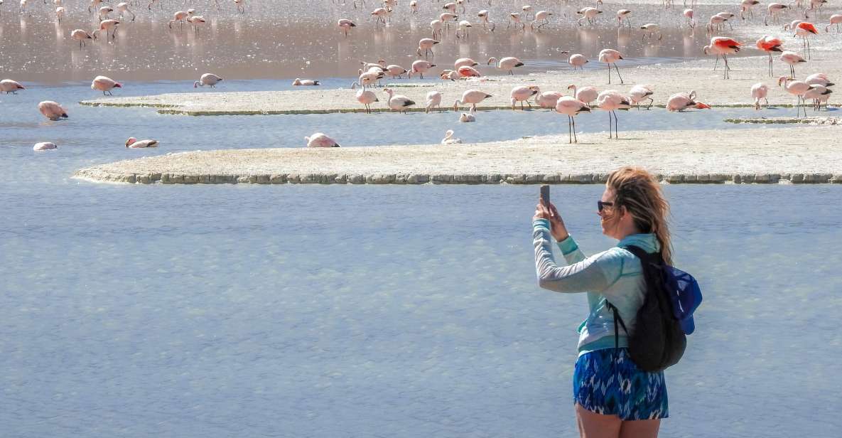 From Uyuni: Red Lagoon & Uyuni Salt Flats 3-Day Guided Tour - Customer Reviews