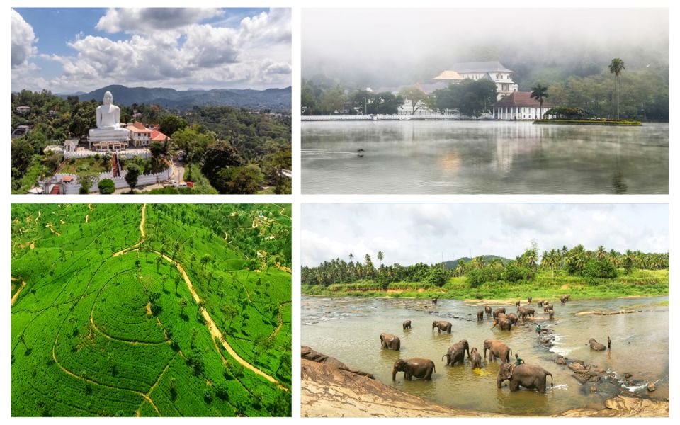 From West Coast: Kandy, Pinnawala, Botanical & Tea Gardens - Sacred Visit to Tooth Relic Temple