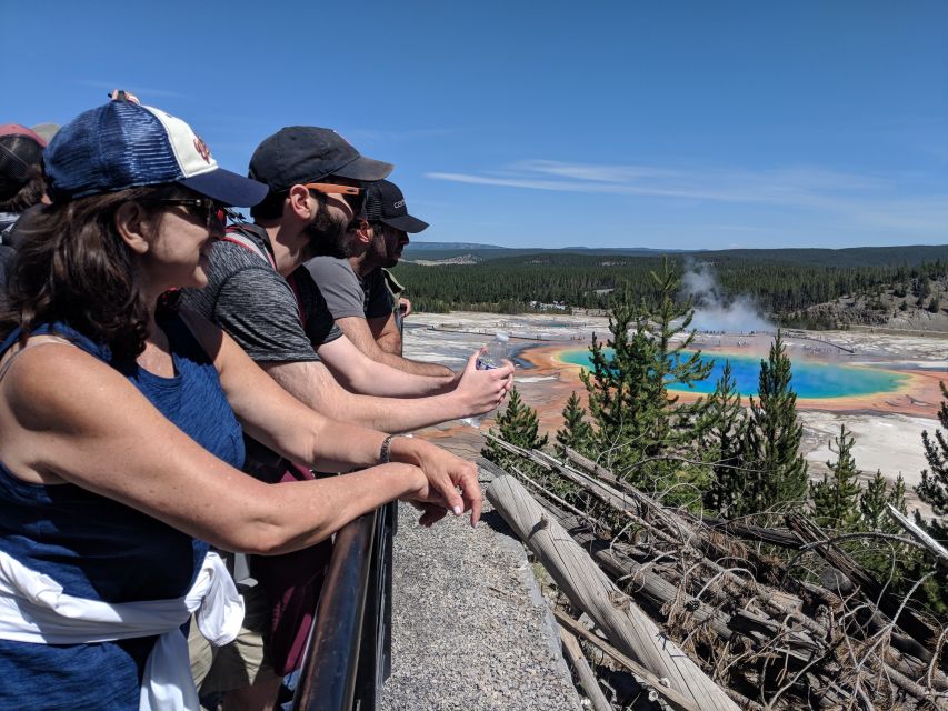 From West Yellowstone: Lower Loop Active Van Tour - Wildlife Encounters and Scenic Views