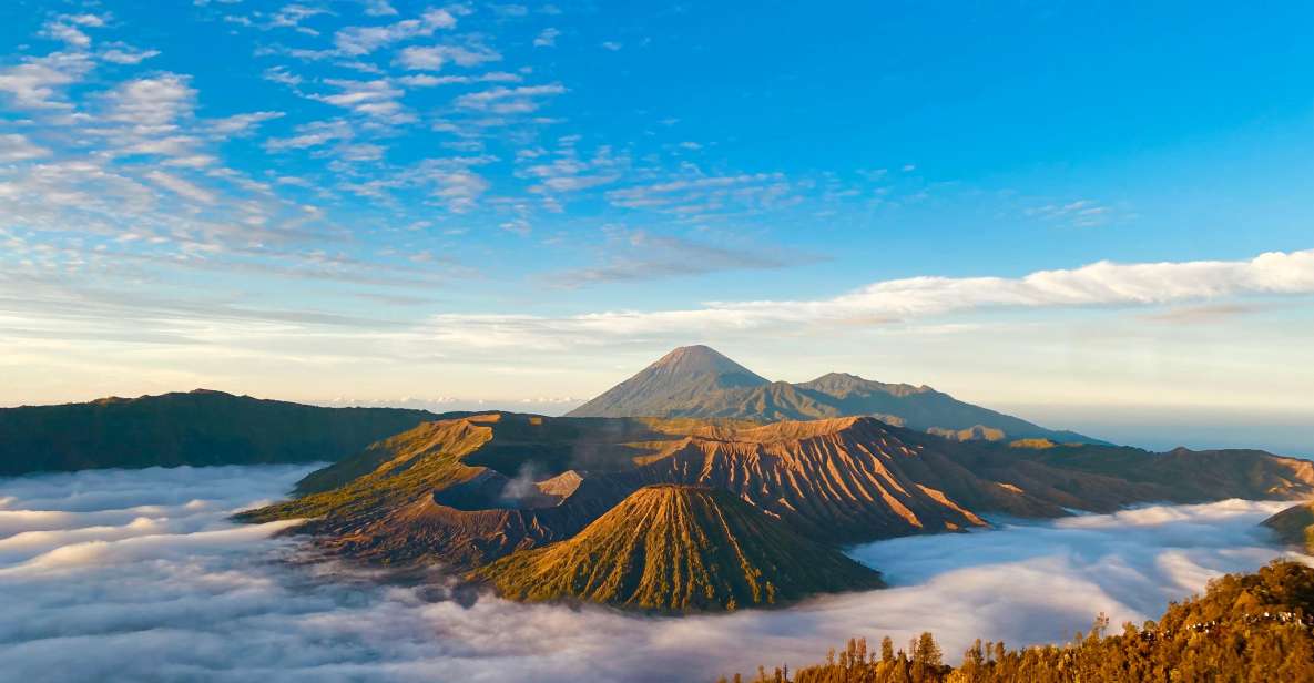 From Yogyakarta : 3-Day Tour to Mount Bromo and Ijen Crater - Day 1 Itinerary