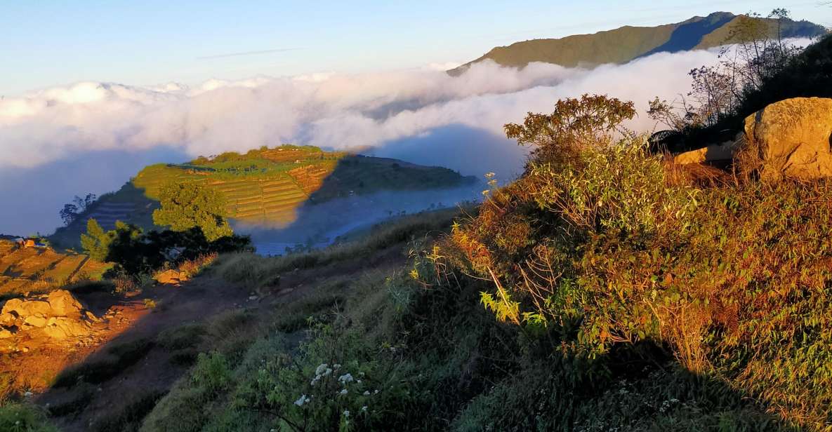 From Yogyakarta: Journey to the Beauty of Dieng With a Guide - Key Features