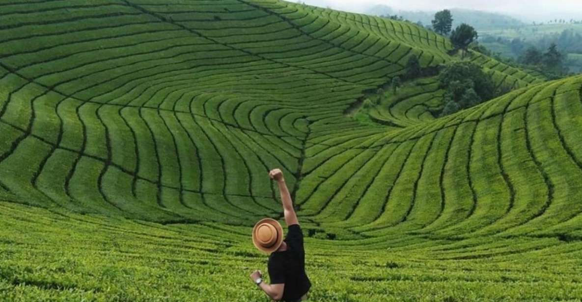 From Yogyakarta: West Java 3-Day Tour With Tea Plantation - Tour Highlights
