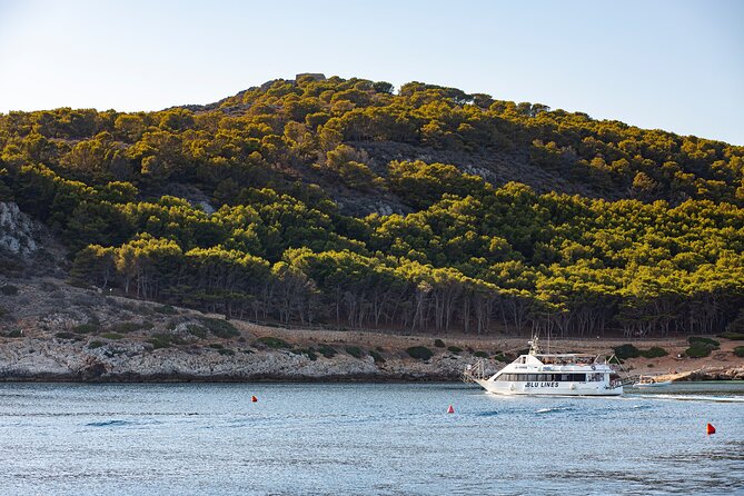 Full Day Boat Tour to the Egadi Islands - Safety Measures