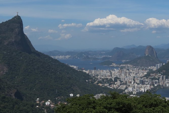 Full-Day Custom Private Tour of Rio - Pickup and Transportation Details
