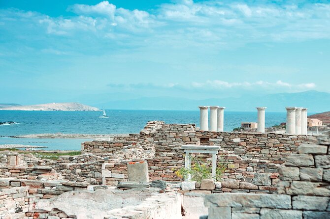 Full-Day Delos and Rhenia Island Cruise From Mykonos - Reviews and Additional Information