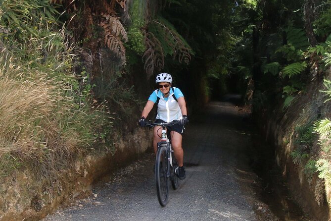 Full Day Ebike Tour in Karangahake Gorge (ex Auckland) - Scenic Stops and Points of Interest