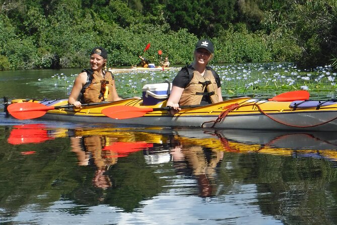 Full-Day Guided Noosa Everglades Kayak Tour - Reviews