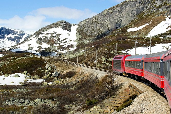 Full Day Guided Roundtrip From Bergen To Sognefjord With Flam Railway - Tour Highlights