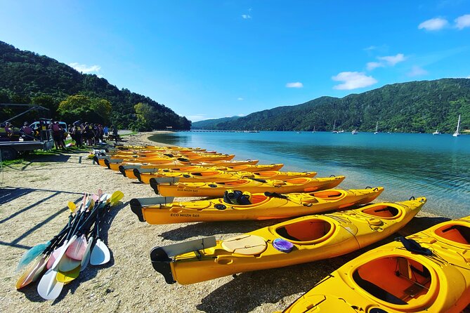 Full-Day Guided Sea Kayaking Trip From Anakiwa - Cancellation Policy