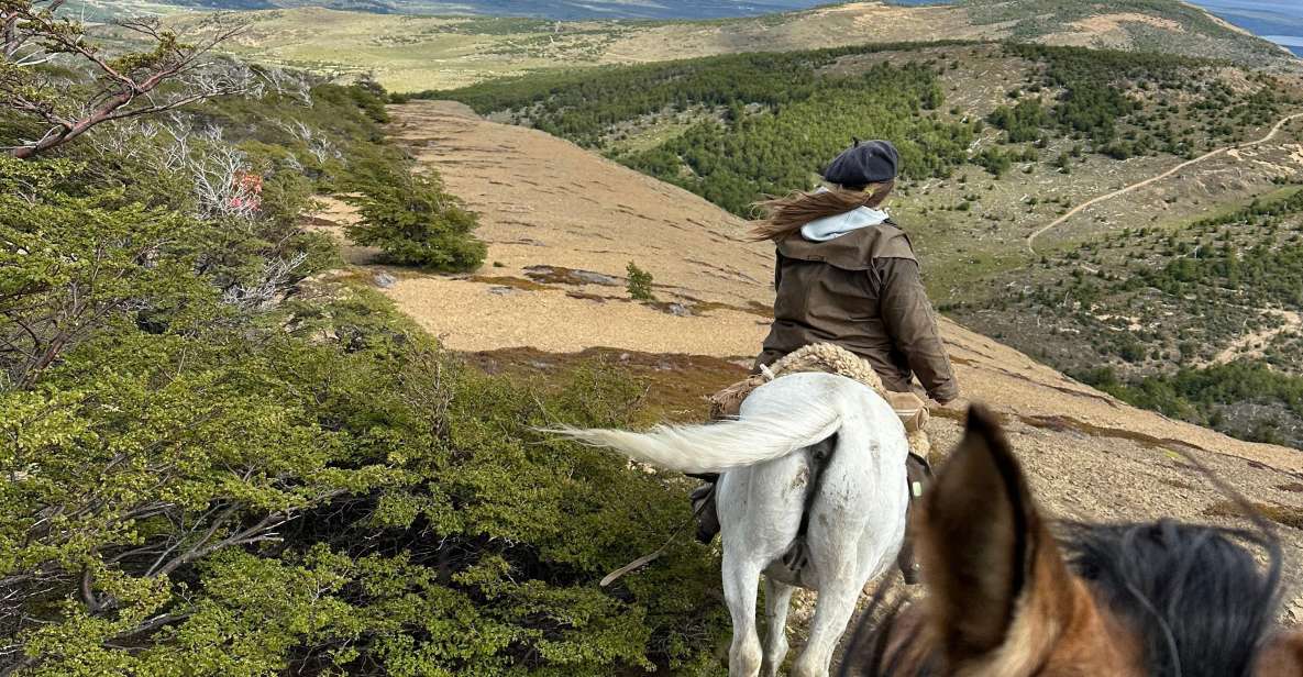 Full Day Horseback Riding Trail Ride to the Mountain - Full Description