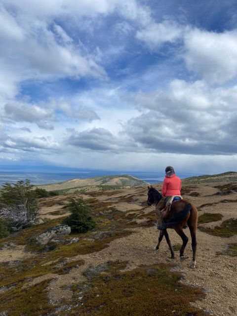 Full Day Horseback Riding Trail Ride to the Mountain - Meditation and Mindfulness in the Woods