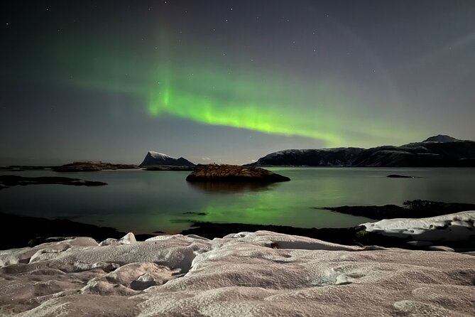 Full Day Magic of the Arctic Lights in Tromso - Reviews and Ratings Overview