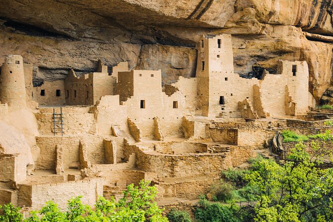 Full-Day Mesa Verde Discovery Tour - Ancestral Puebloan Sites