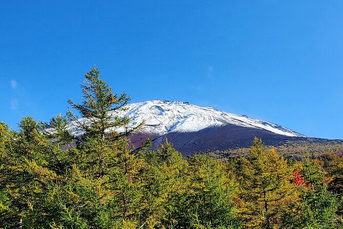 Full Day Mount Fuji Private Tour With English Speaking Guide - Safety Measures and Guidelines