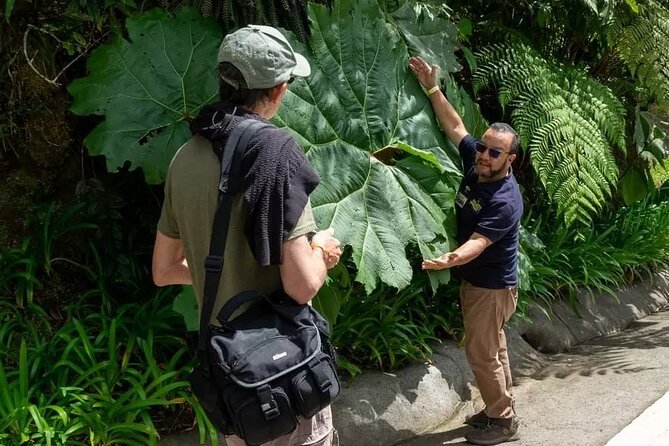 Full Day Poas Volcano, La Paz Waterfall Gardens and Coffee Plantation Experience - Customer Reviews and Recommendations