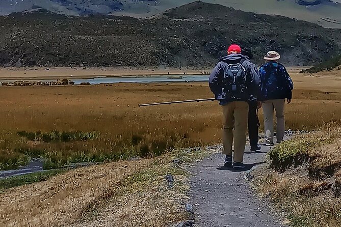 Full Day Private Cotopaxi Volcano Hike With Horse Riding Tour - Last Words