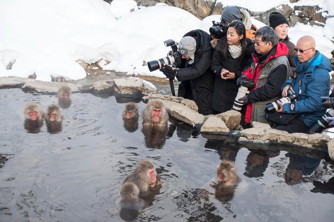 Full-Day Private Nagano Tour: Zenkoji Temple, Obuse, Jigokudani Monkey Park - Visitor Experiences and Highlights