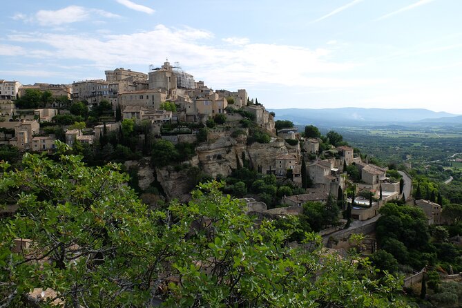 Full Day Private Tour From Avignon - Tour Inclusions