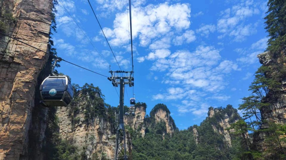 Full-Day Private Tour of Zhangjiajie National Forest Park - Customer Reviews