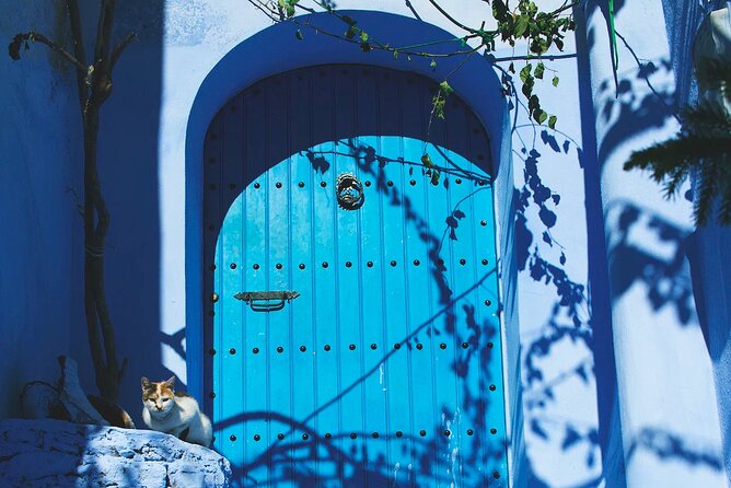 Full Day Private Trip to Chefchaouen the Blue City From Tangier - Culinary Experience