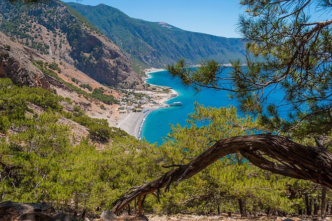 Full-Day Samaria Gorge Chania Guided Tour - Traveler Experience