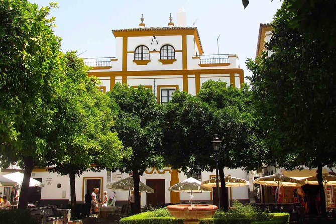 Full Day Seville Tour With Tickets (Optional Tapas & Flamenco) - Optional Add-Ons