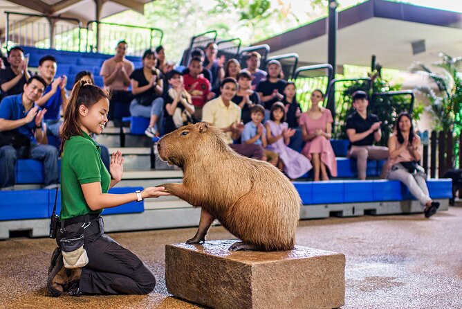 Full Day Singapore River Theme Park Admission - Logistics and Accessibility