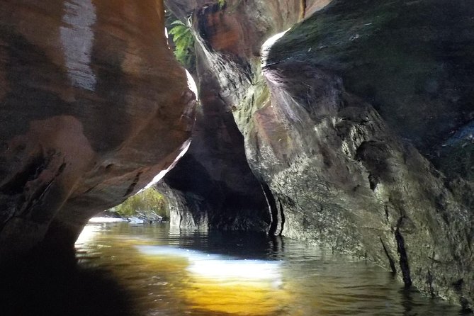 Full-Day Small-Group Canyoning Tour, Blue Mountains - What to Bring