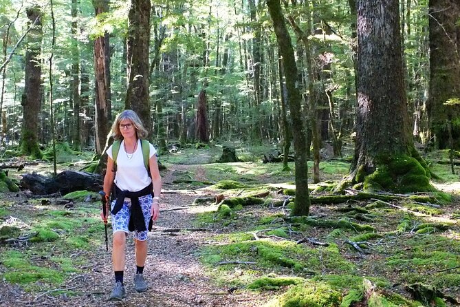 Full-Day Small-Group Routeburn Valley Walk - Safety Precautions