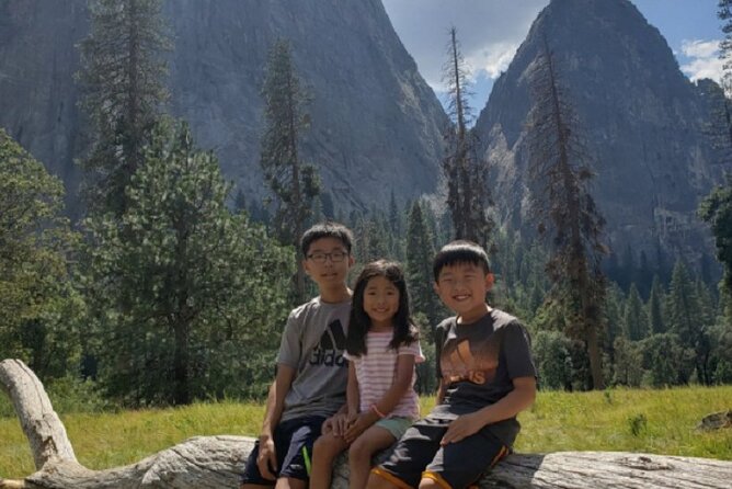 Full-Day Small Group Yosemite & Glacier Point Tour Including Hotel Pickup - Customer Feedback