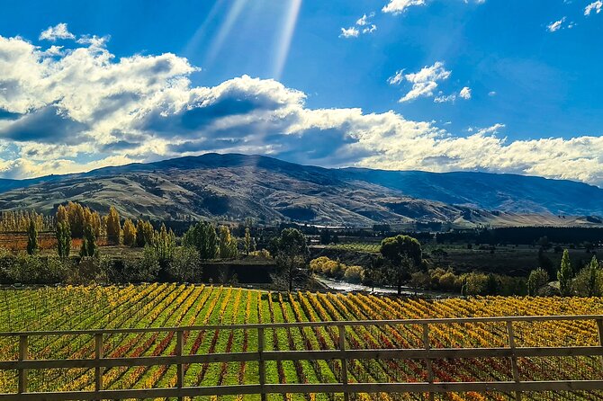 Full-Day Sommelier Guided Private Wine Tour of Central Otago - Traveler Engagement Benefits