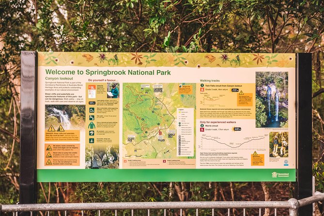 Full-Day Springbrook National Park Tour From the Gold Coast - Tour Highlights