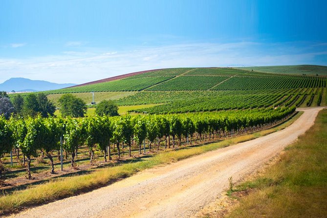 Full Day Tamar Valley Wine Tour - Booking and Refund Policies