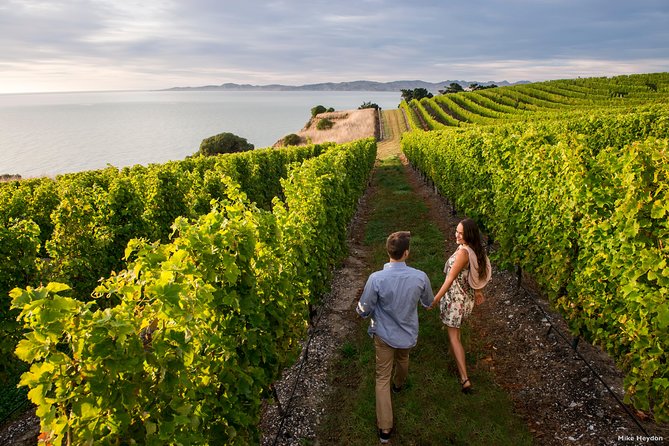 Full-Day Taste the Wines of Marlborough Tour - Tour Requirements
