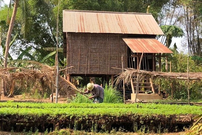 Full-Day Tour & Homestay in the Battambang Countryside - Culinary Delights