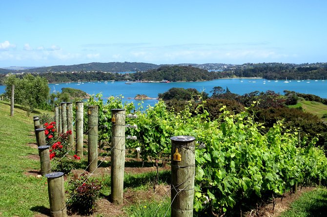 Full-Day Tour of Waiheke Island With Wine Tastings - Visitor Experiences - Positive and Negative