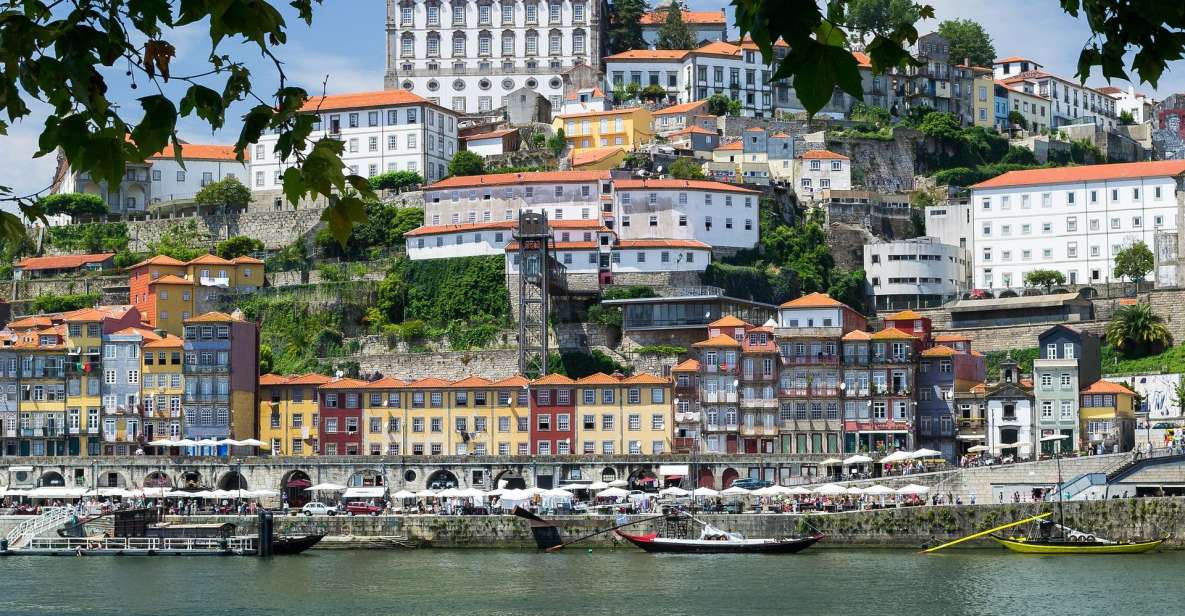 Full Day Tour Private Porto - Highlights of the Tour