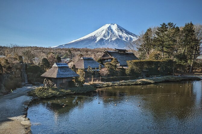 Full Day Tour to Mount Fuji With Guide - Customer Reviews