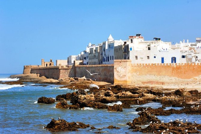 Full Day Trip to Essaouira City From Marrakech - Logistics and Meeting Point Details