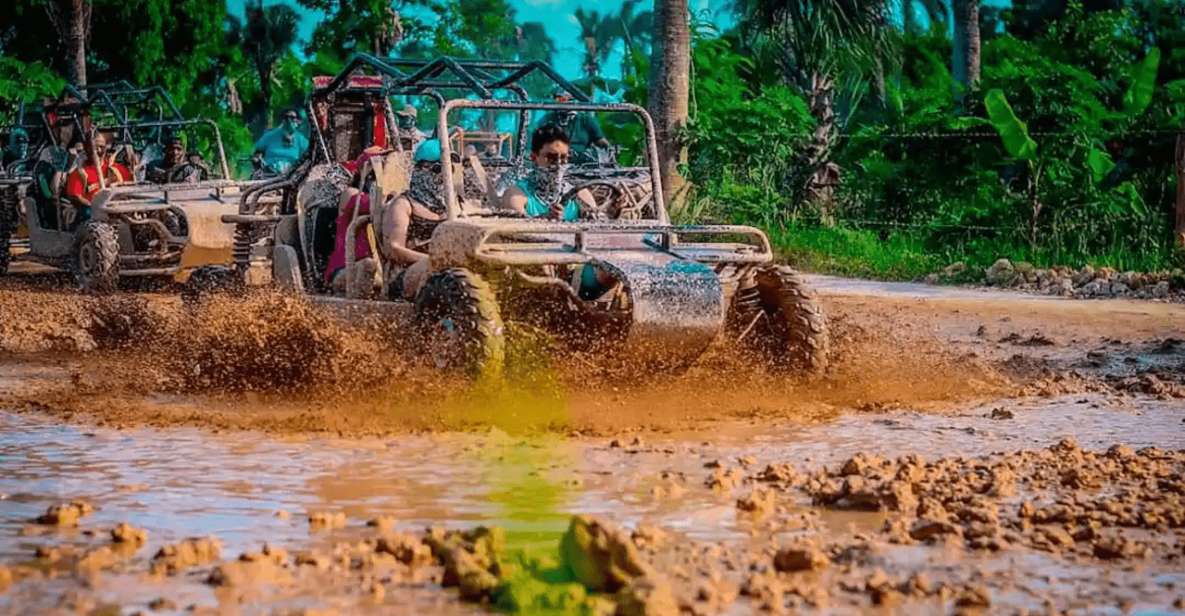Full Dominican Adventure: Zipline, ATV, Horseback & Safari - Related Activities
