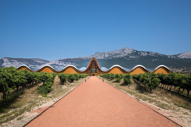 Full Rioja Wine Tour With Lunch From San Sebastian Private Tour - Culinary Delights