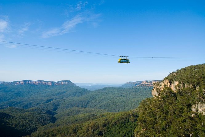 Fully Inclusive Blue Mountains Private Tour Inc Scenic World & Featherdale Entry - Featherdale Wildlife Park Visit