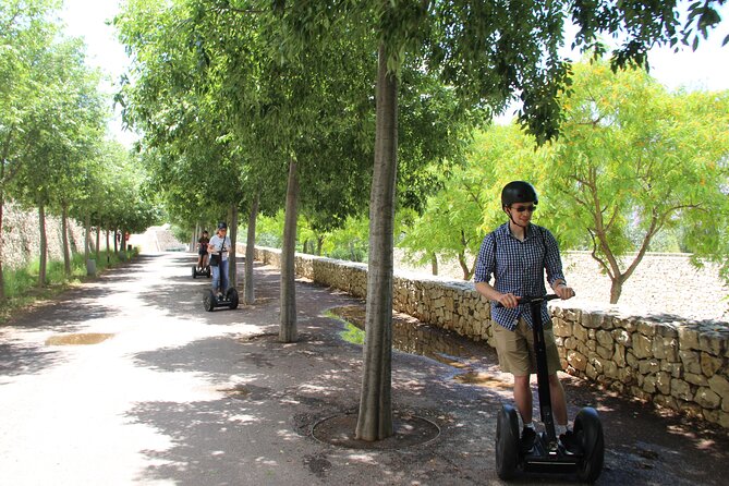 Fun Private Segway Tour in Valencia - Weight Restrictions