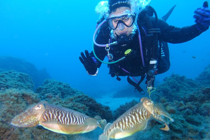 Fun Scuba Diving in Tenerife - Booking and Reservation Details