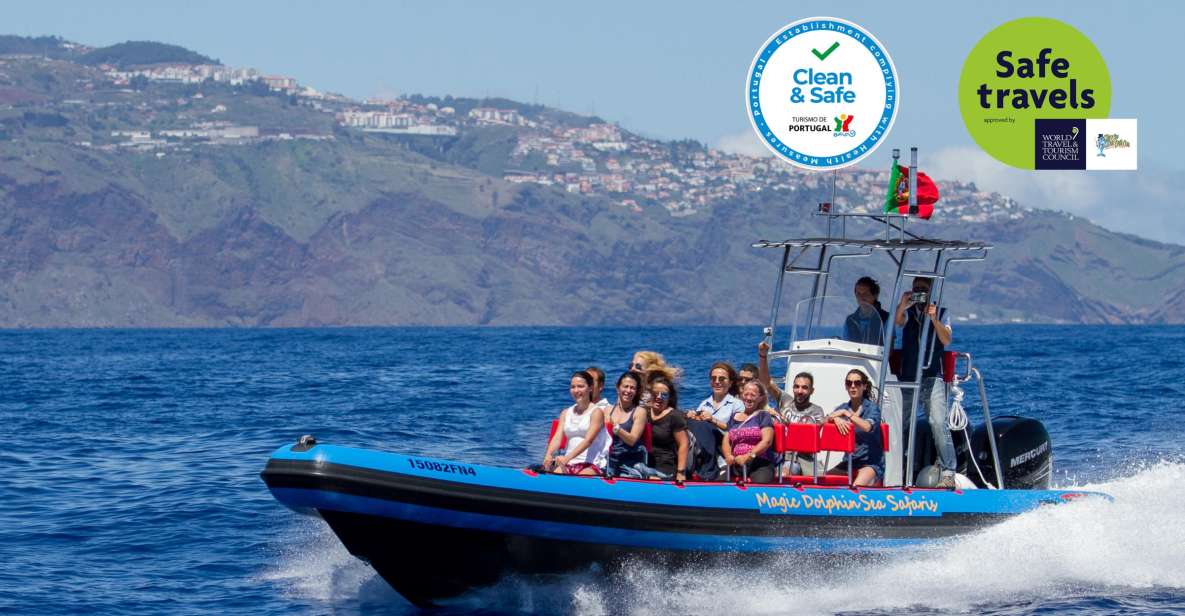 Funchal: Dolphin and Whale Watching Cruise - Tour Logistics